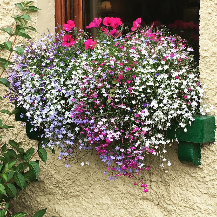 Ballyglass Country House 蒂珀雷里 外观 照片